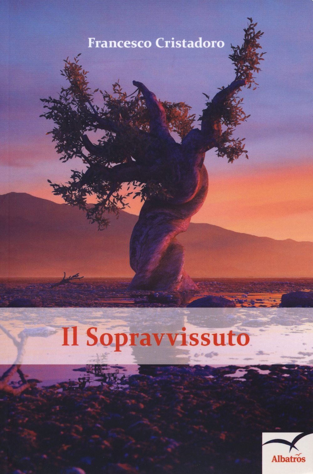 Il sopravvissuto