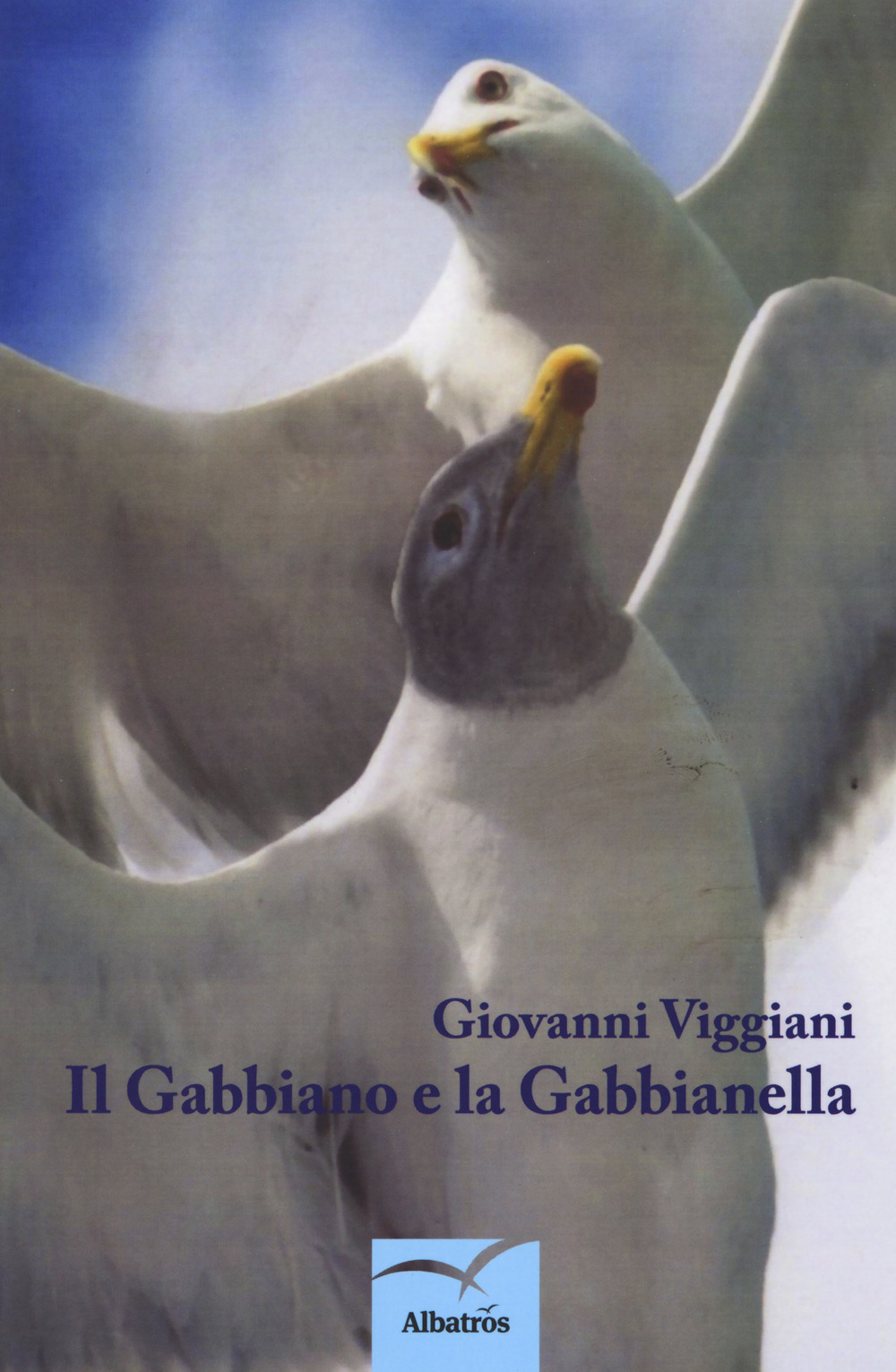 Il gabbiano e la gabbianella