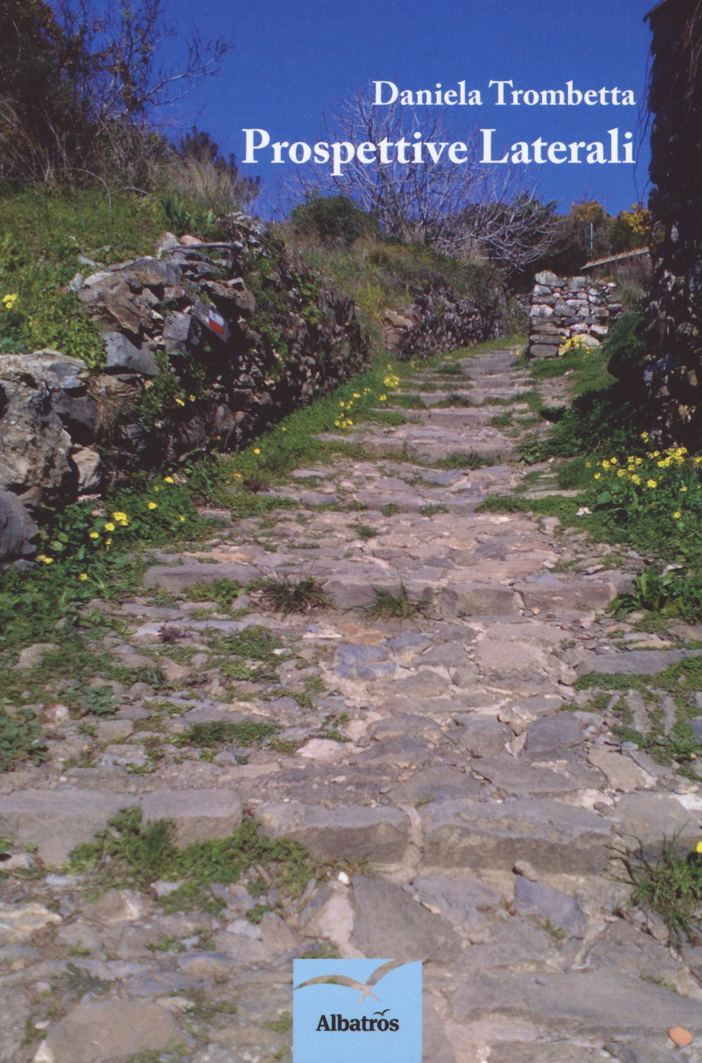 Prospettive laterali