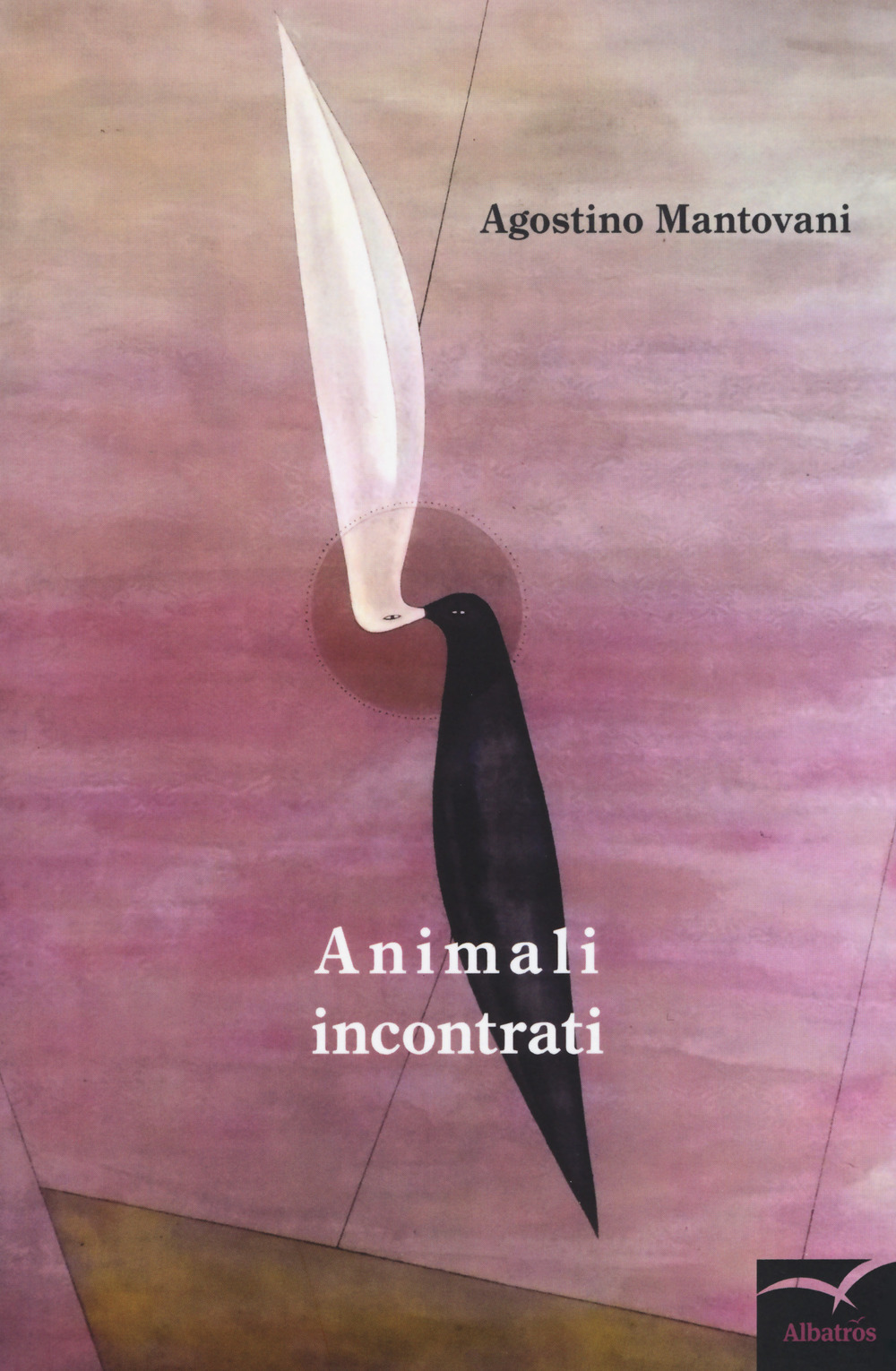 Animali incontrati