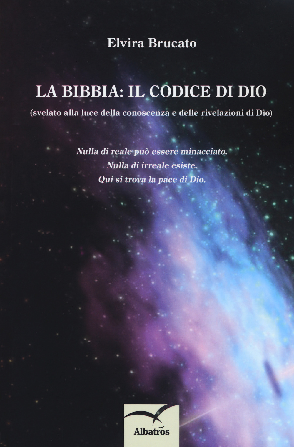 La Bibbia: il codice di Dio (svelato alla luce della conoscenza e delle rivelazioni di Dio)