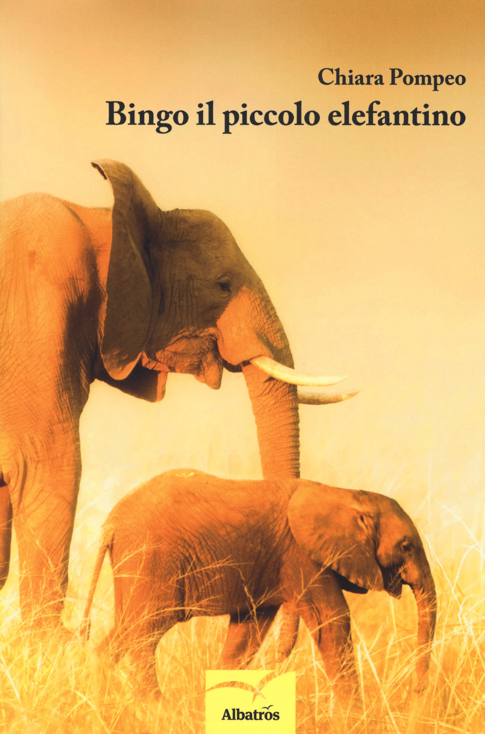 Bingo il piccolo elefantino