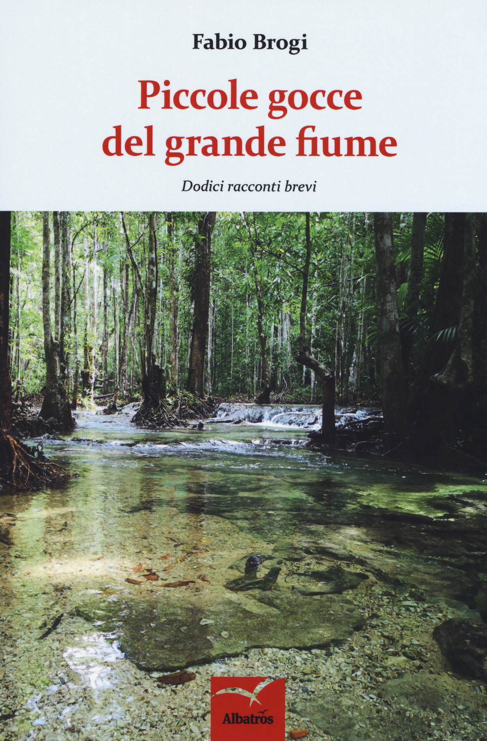 Piccole gocce del grande fiume. Dodici racconti brevi