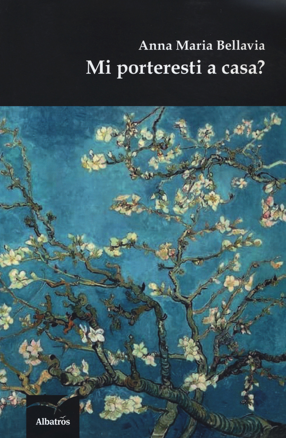 Mi porteresti a casa?