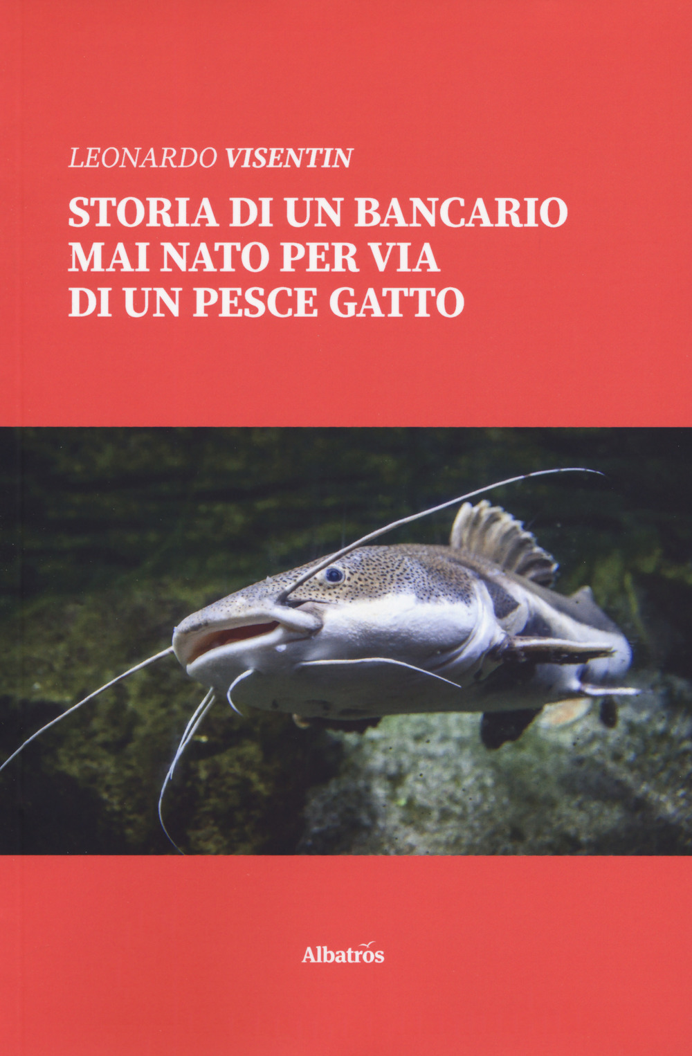 Storia di un bancario mai nato per via di un pescegatto