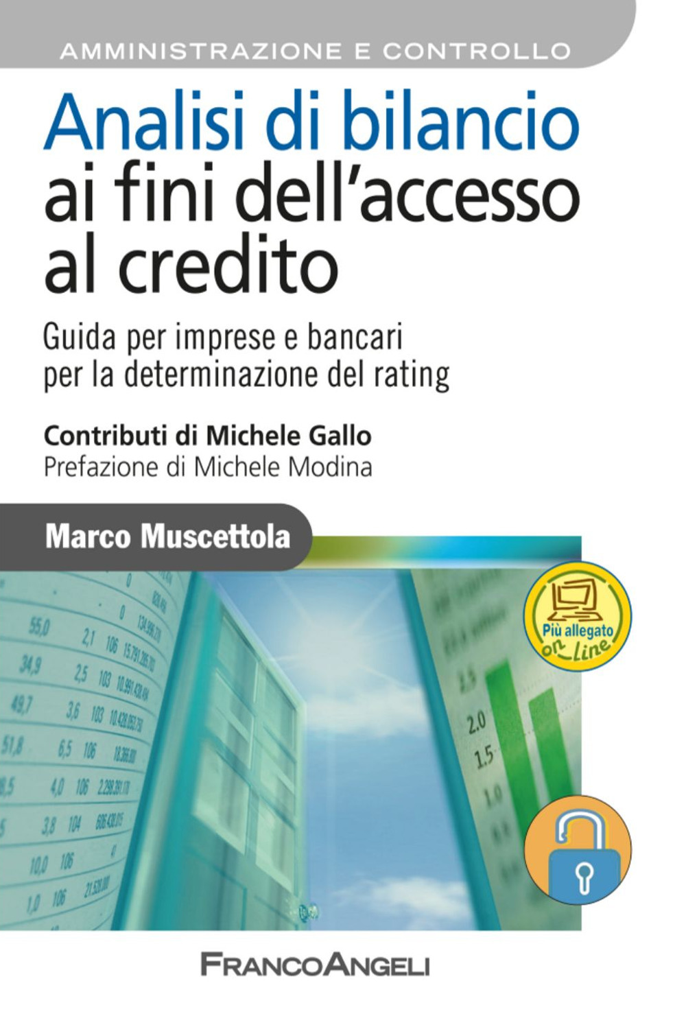 Analisi di bilancio ai fini dell'accesso al credito. Guida per imprese e bancari per la determinazione del rating