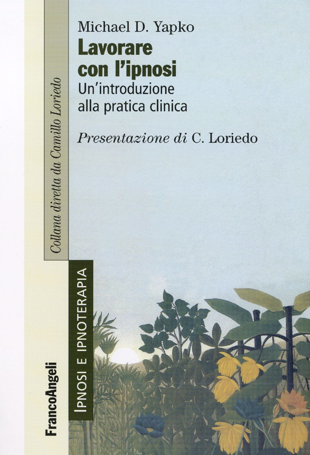 Lavorare con l'ipnosi. Un'introduzione alla pratica clinica