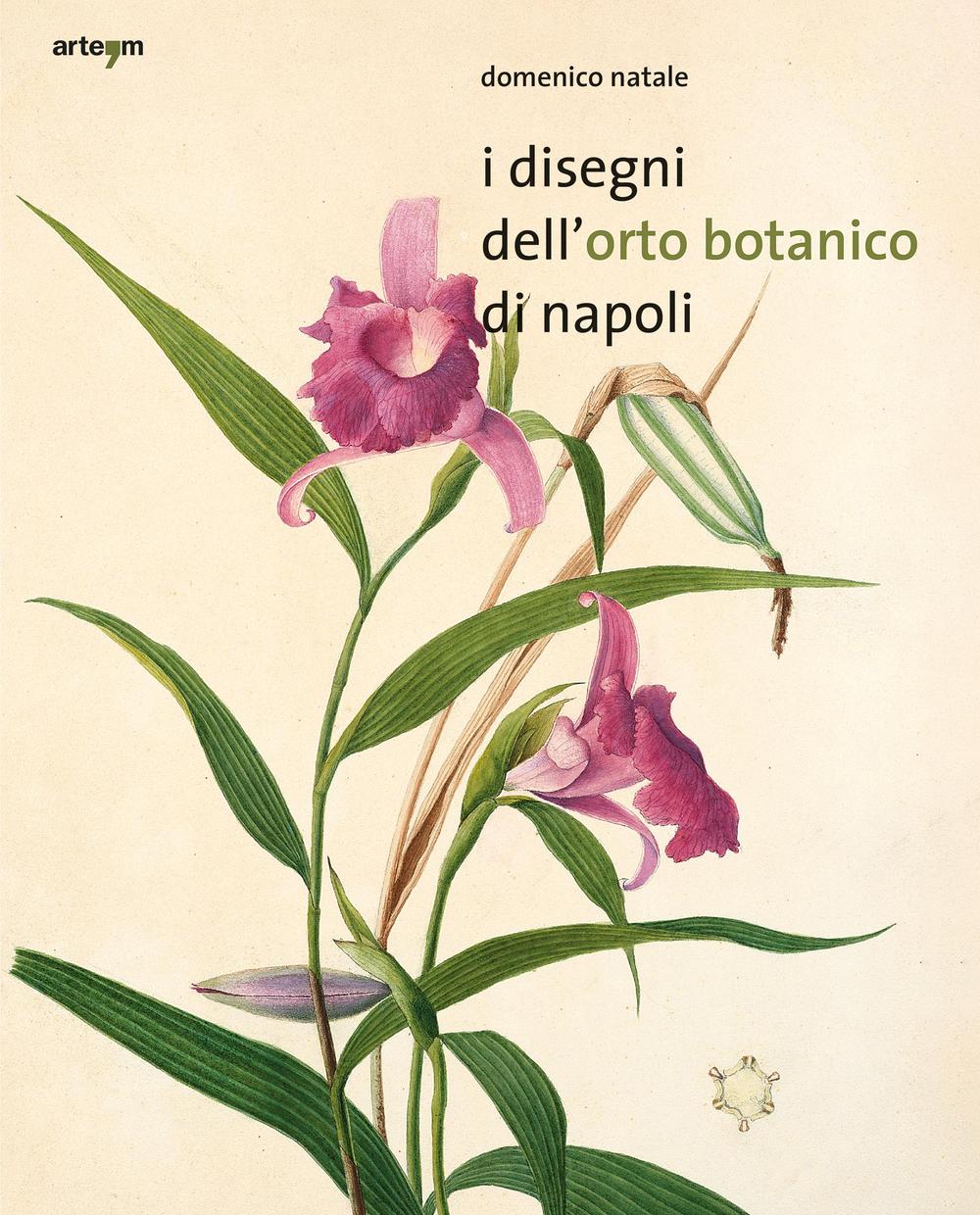 I disegni dell'orto botanico di Napoli