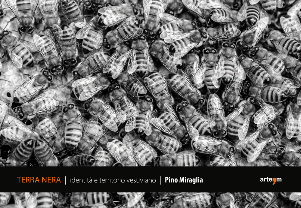 Terra Nera. Identità e territorio vesuviano