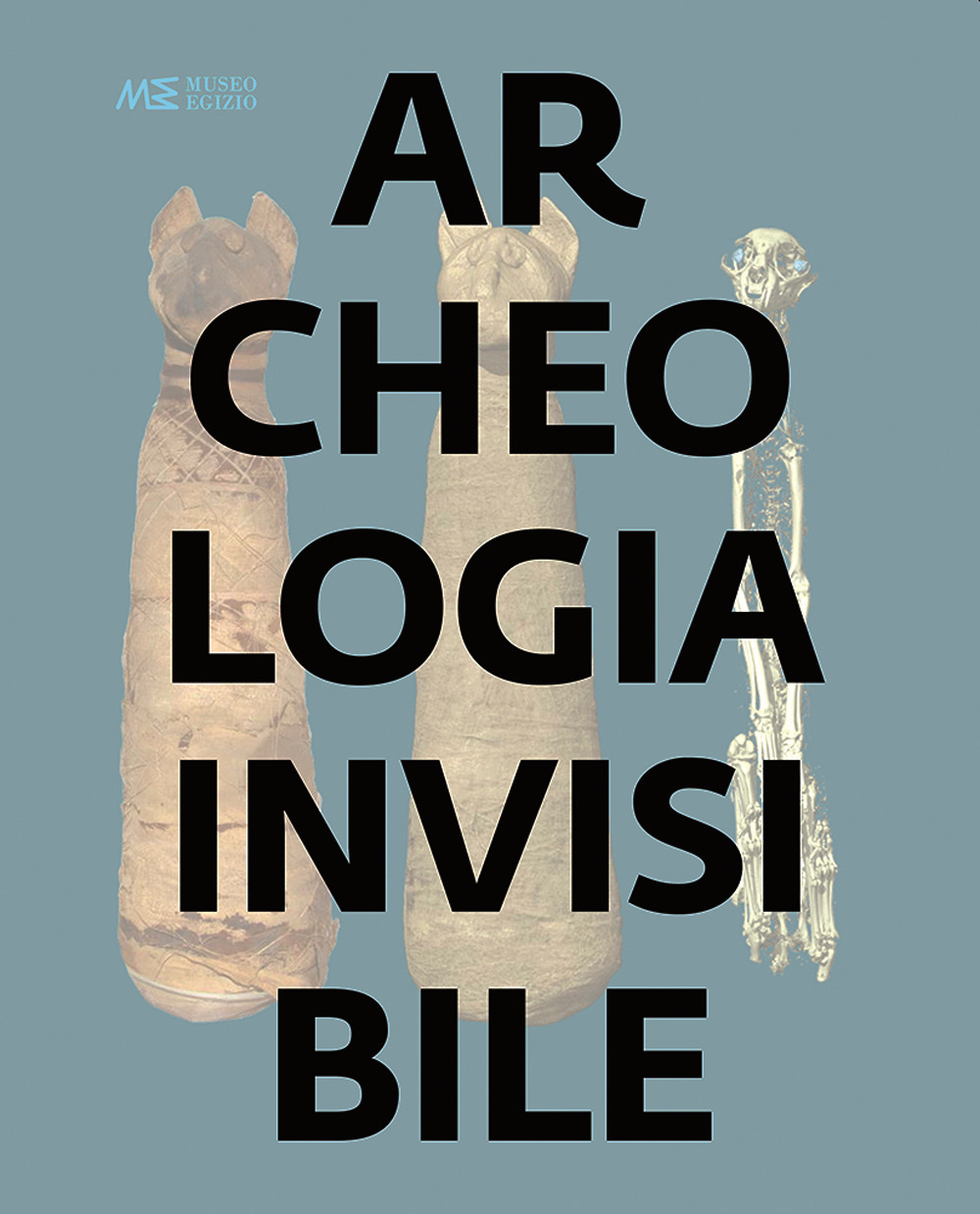 Archeologia invisibile. Catalogo della mostra (Torino, 13 marzo 2019-6 gennaio 2020)