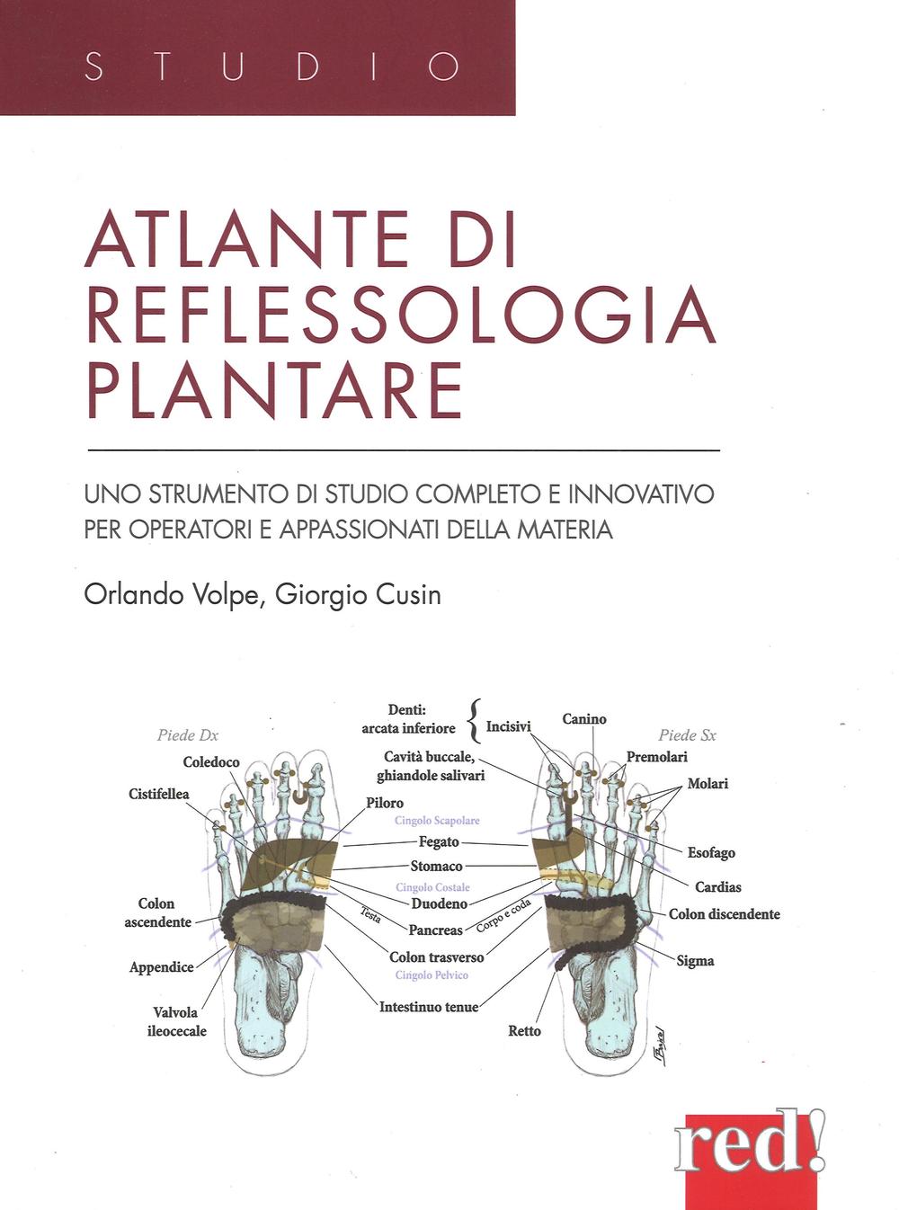 Atlante di reflessologia plantare. Uno strumento di studio completo e innovativo per operatori e appassionati della materia