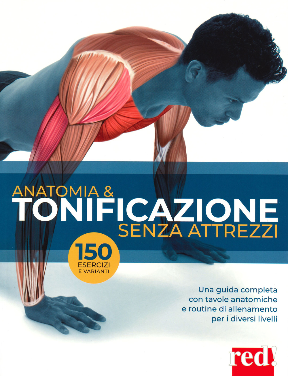 Anatomia & tonificazione senza attrezzi
