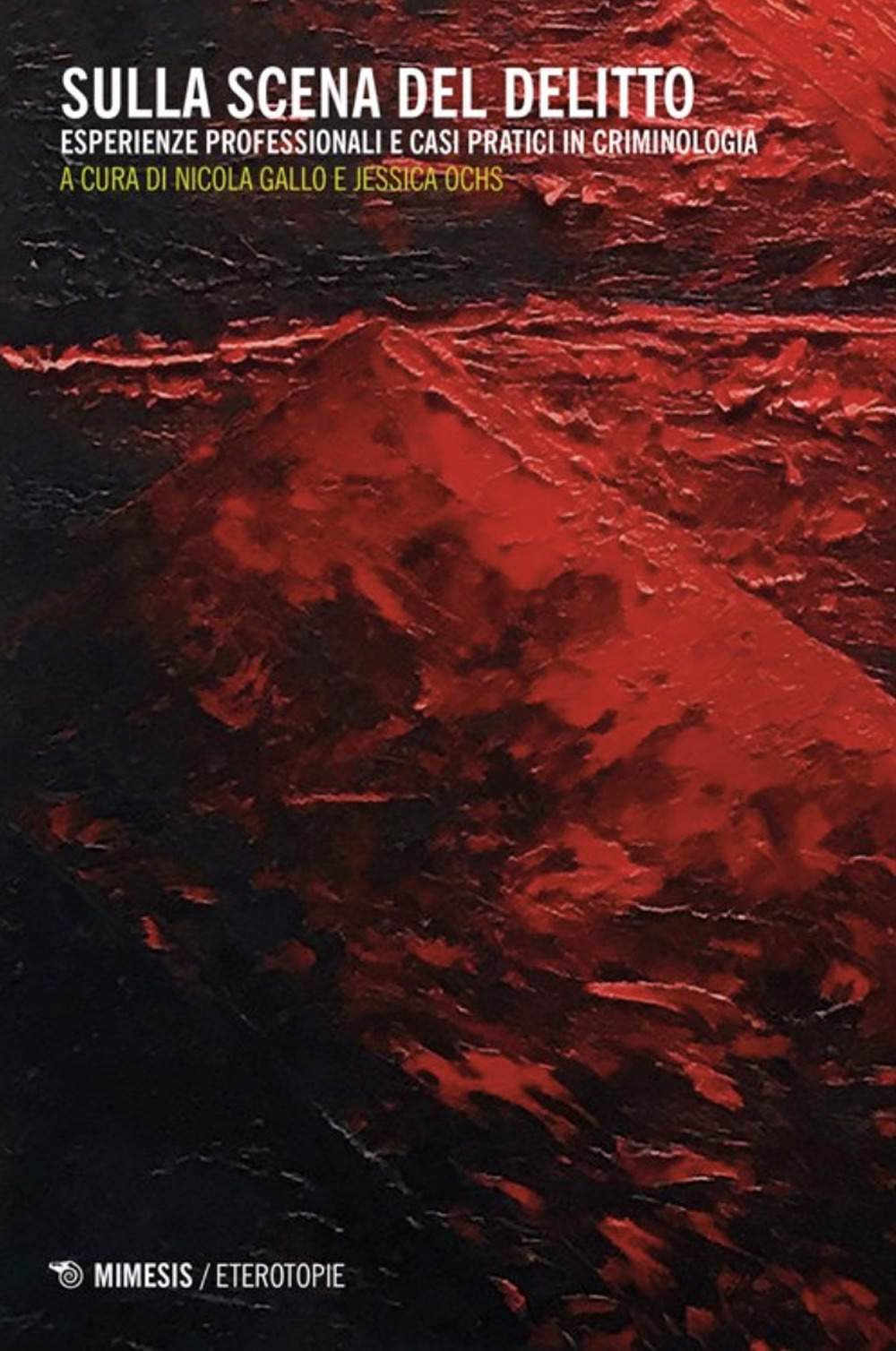 Sulla scena del delitto. Esperienze professionali e casi pratici in criminologia