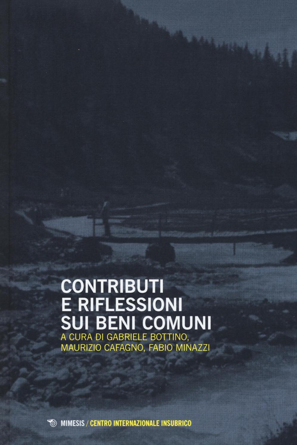 Contributi e riflessioni sui beni comuni