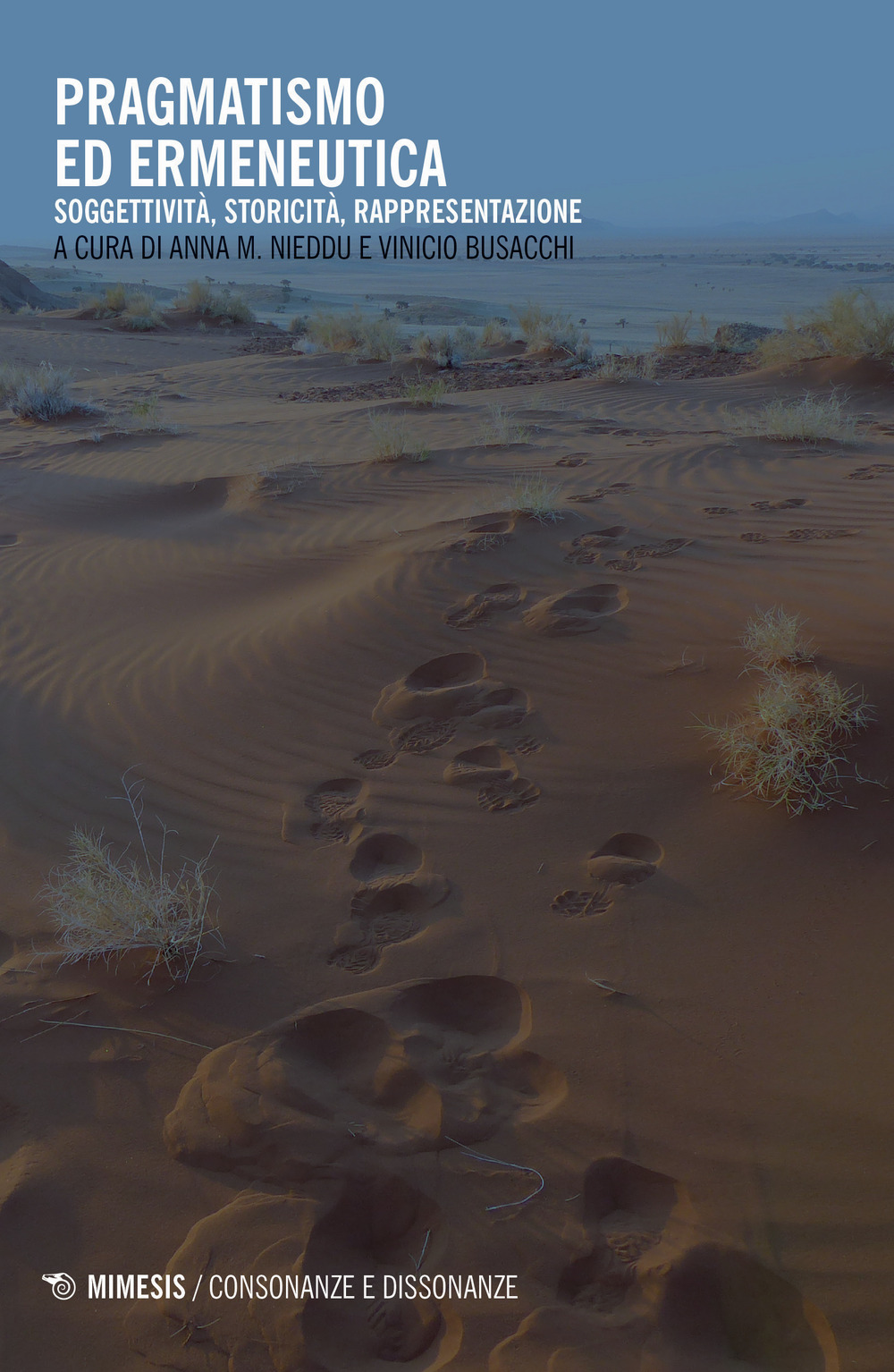 Pragmatismo ed ermeneutica. Soggettività, storicità, rappresentazione