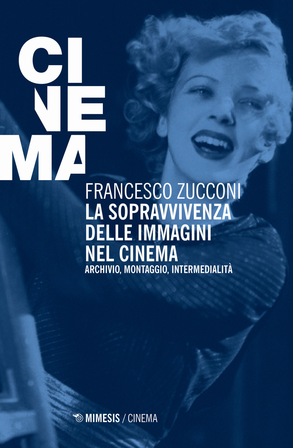 La sopravvivenza delle immagini nel cinema. Archivio, montaggio, intermedialità