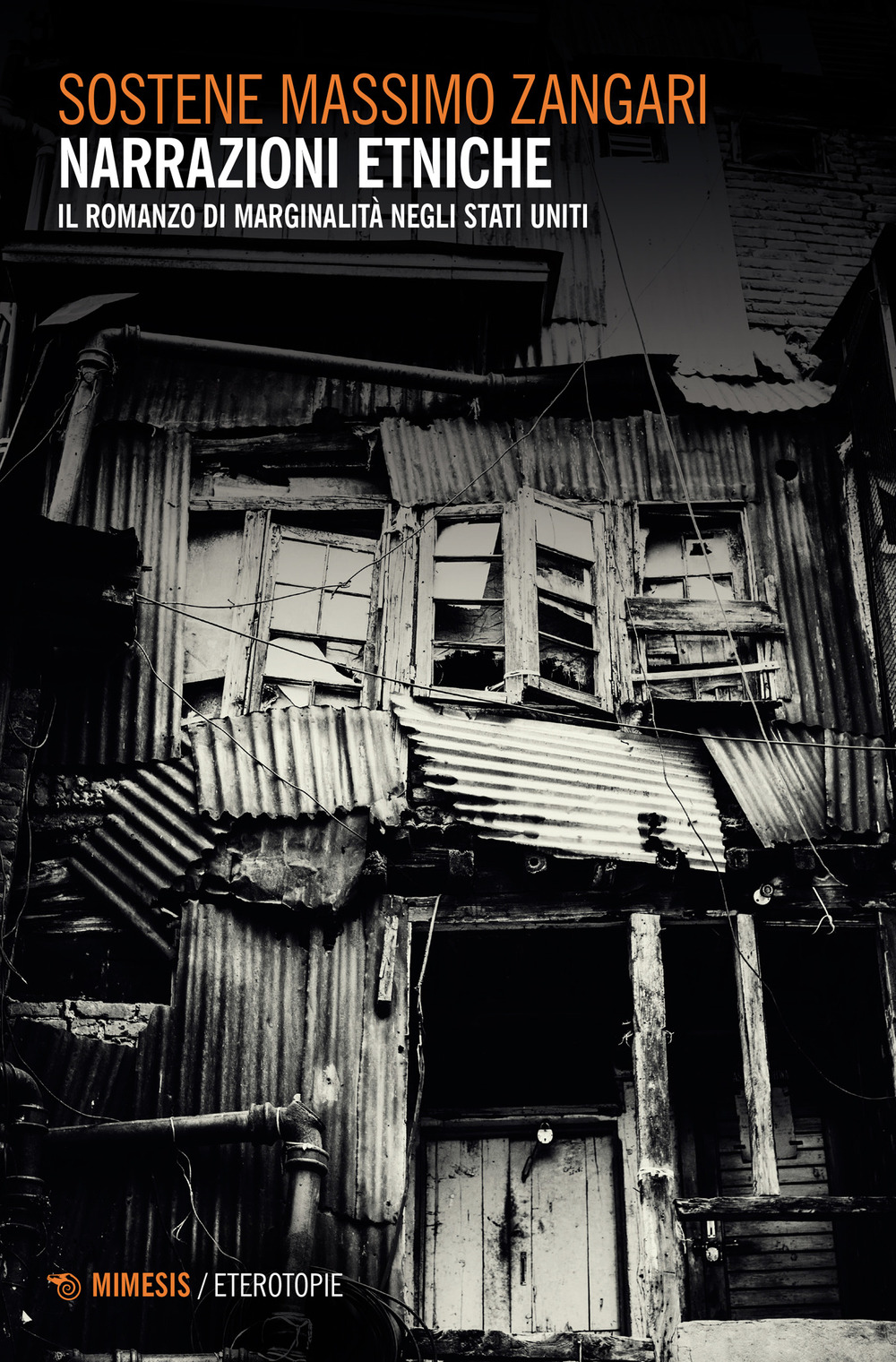 Narrazioni etniche. Il romanzo di marginalità negli Stati Uniti
