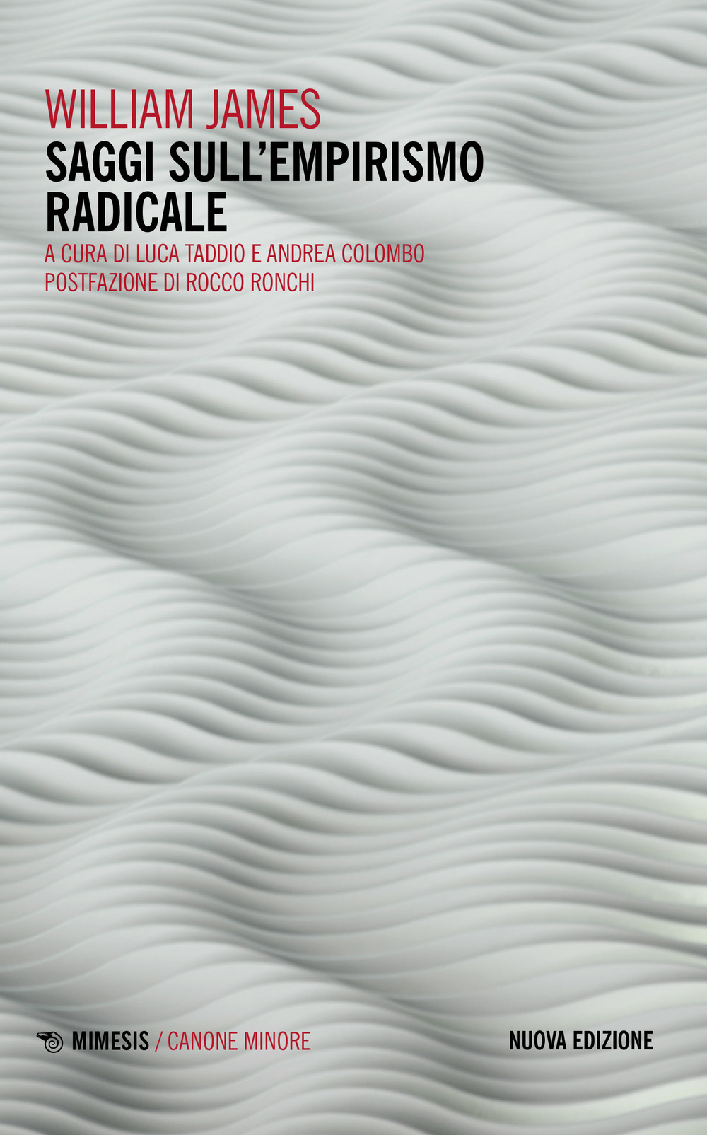 Saggi sull'empirismo radicale