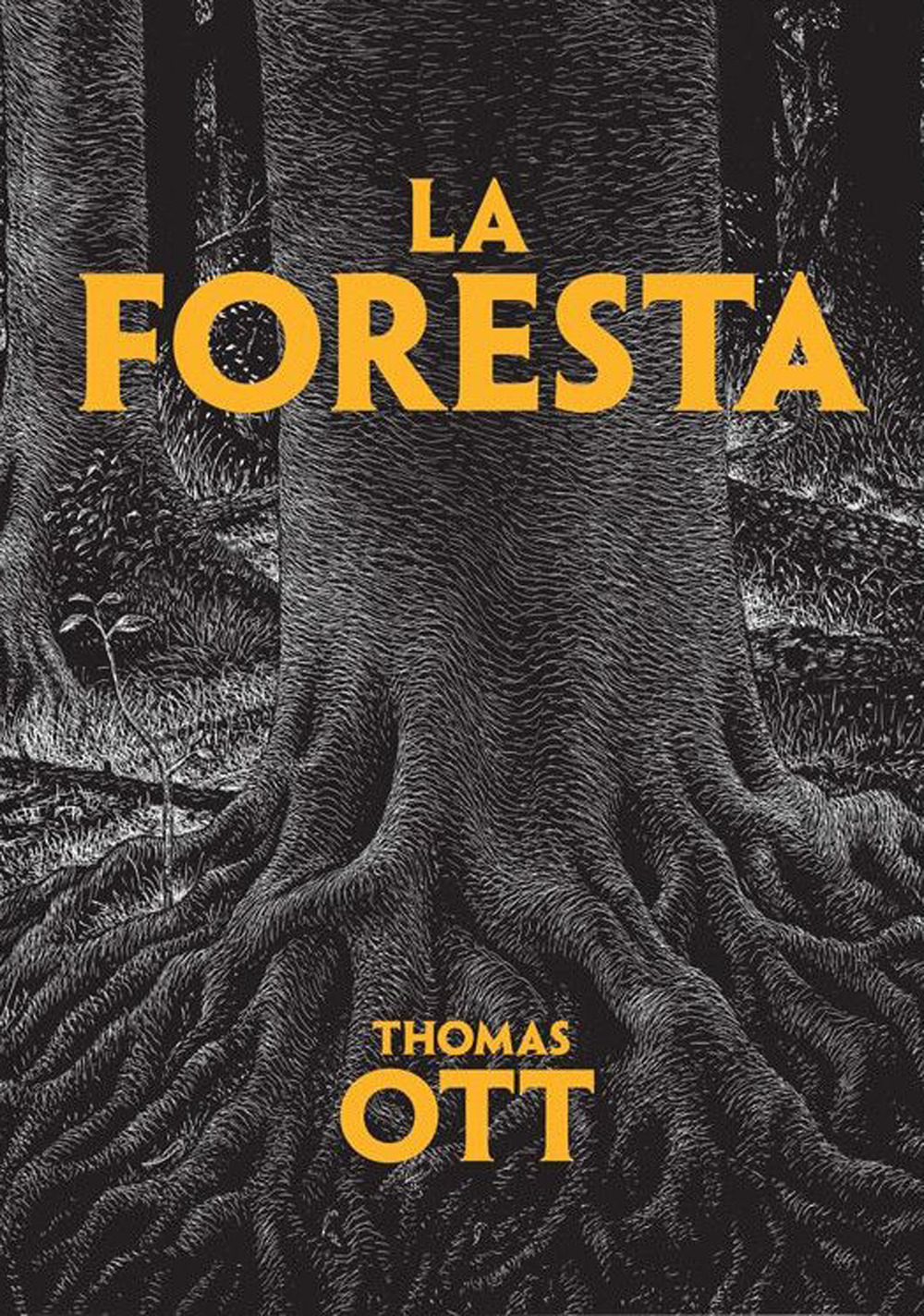 La foresta
