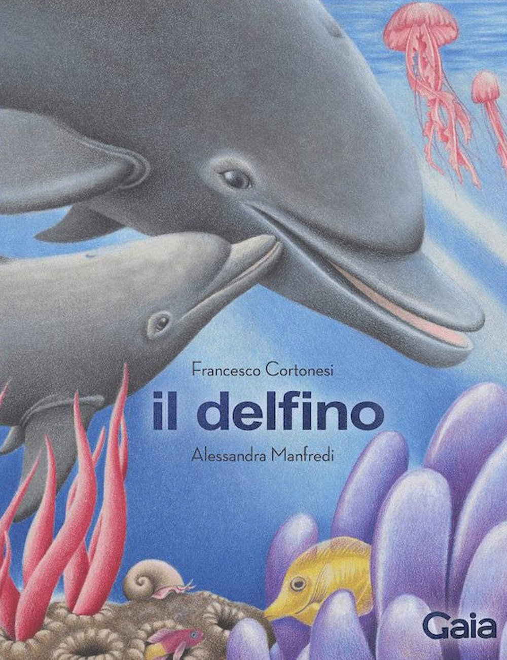 Il delfino