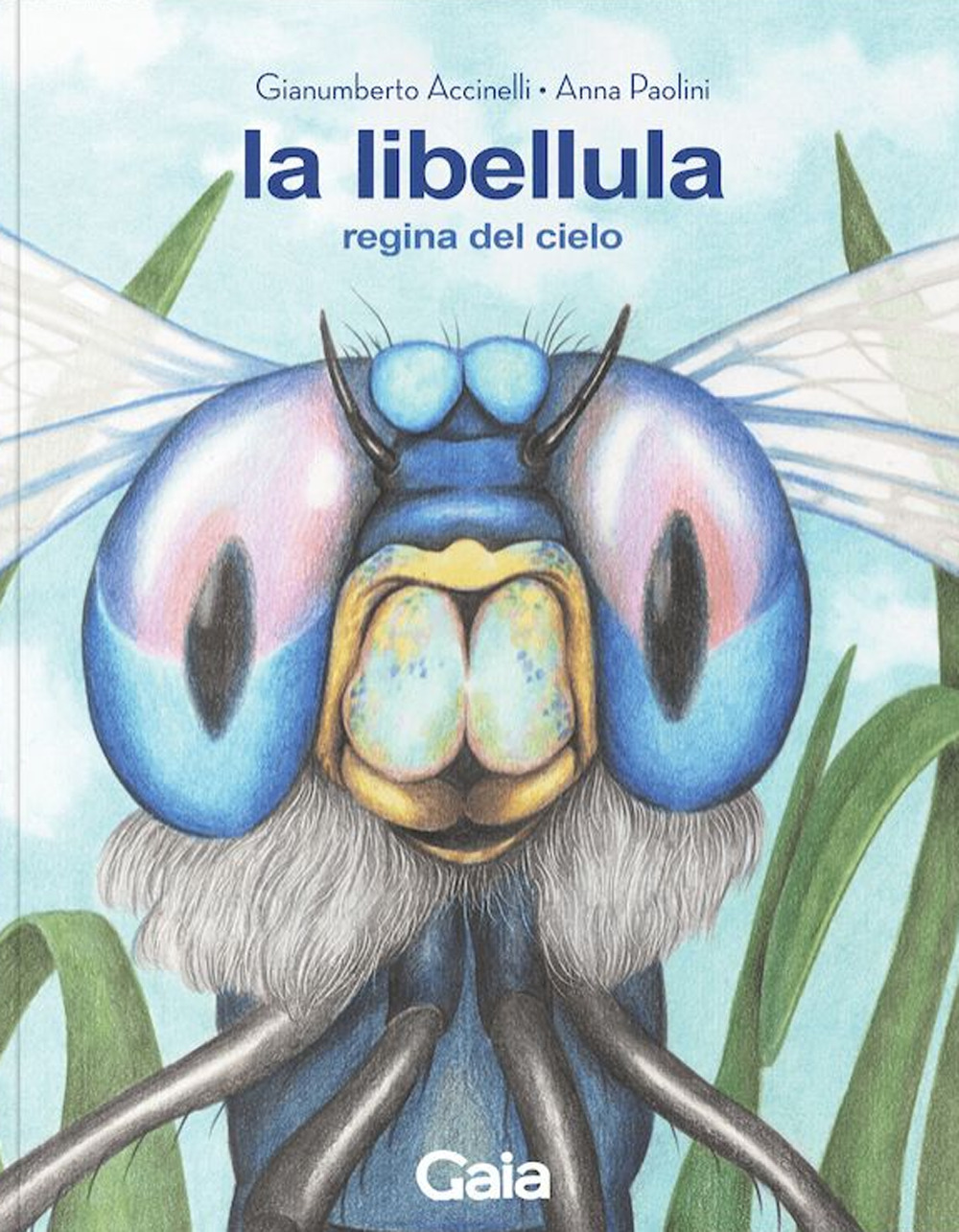 La libellula. Regina del cielo