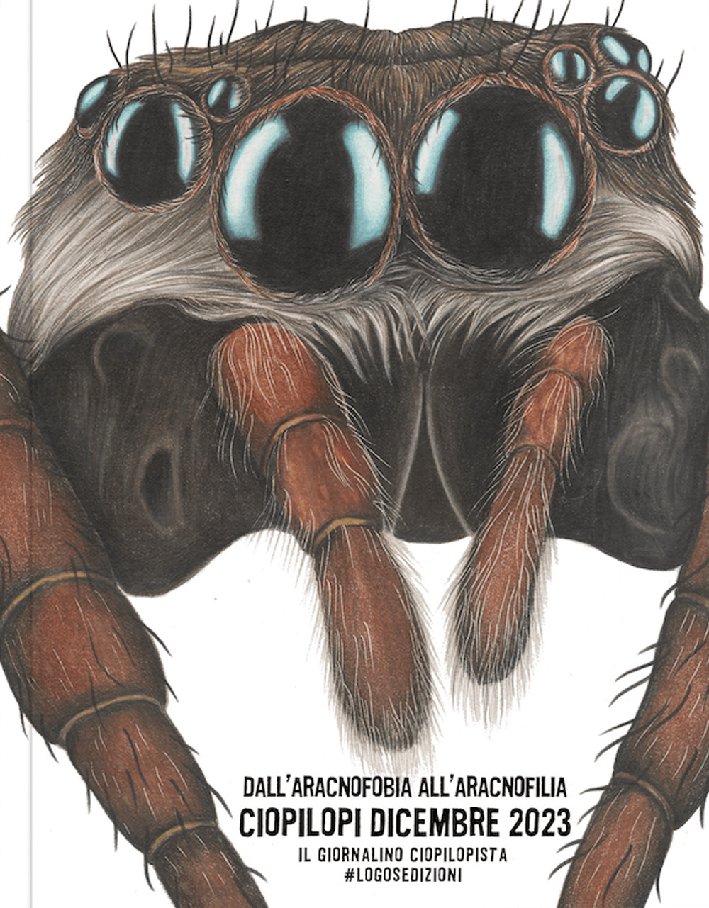Ciopilopi. Dicembre 2023. Dall'aracnofobia all'aracnofilia