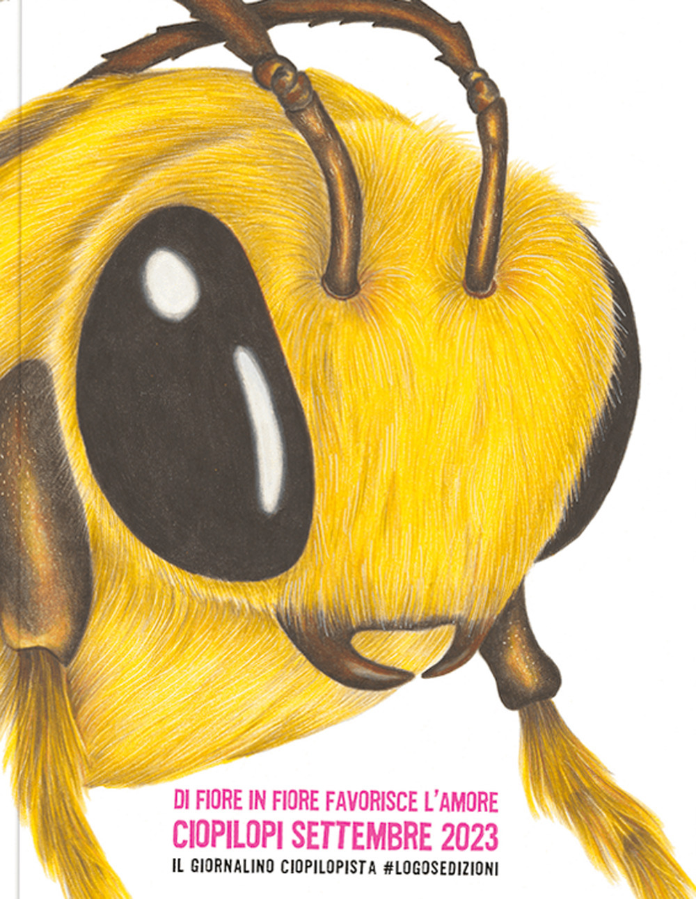 Ciopilopi. Settembre 2023. Di fiore in fiore favorisce l'amore