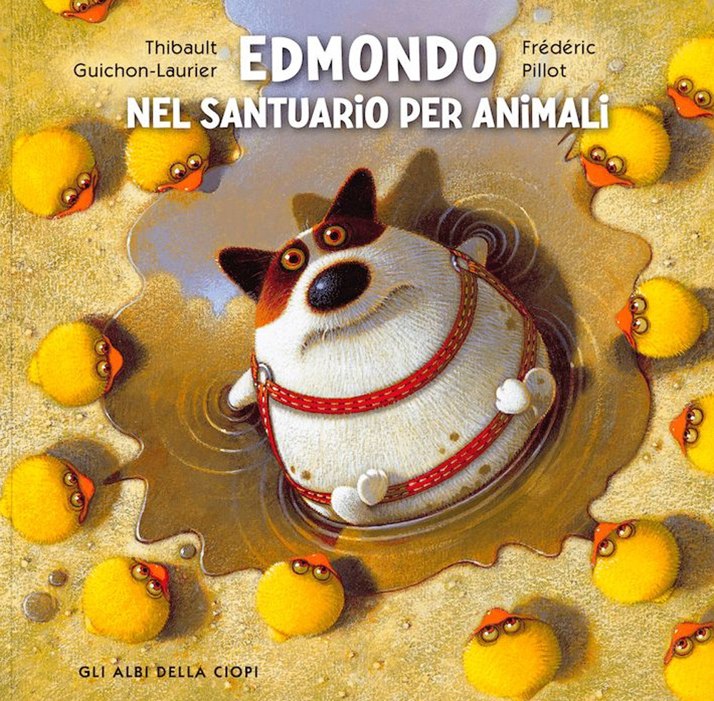 Edmondo nel santuario degli animali