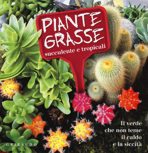 Piante grasse succulente e subtropicali. Il verde che non teme il caldo e la siccità