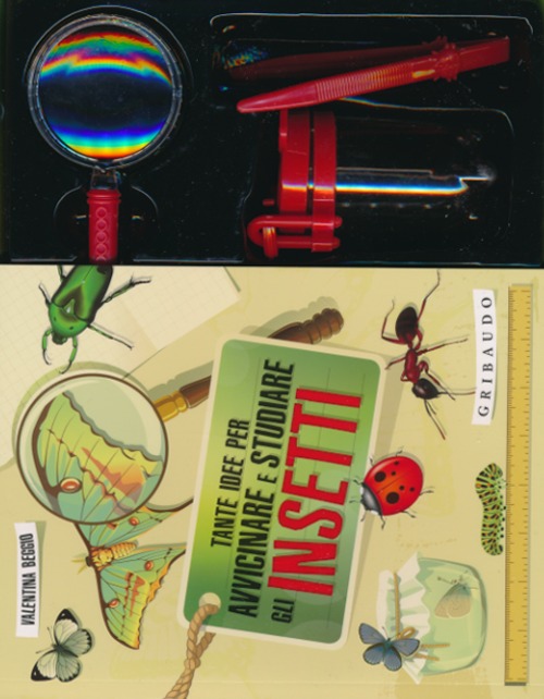 Tante idee per avvicinare e studiare gli insetti
