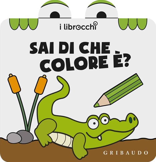 Sai di che colore è? I librocchi