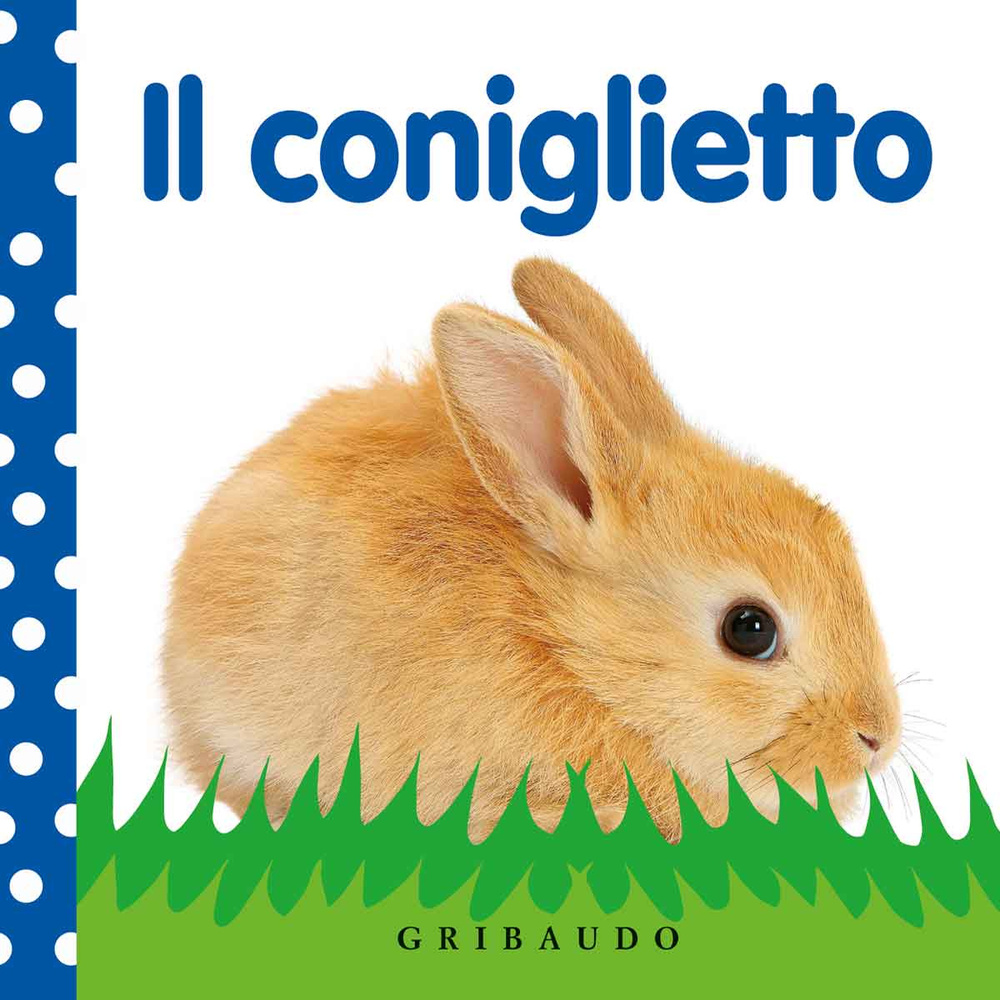 Il coniglietto