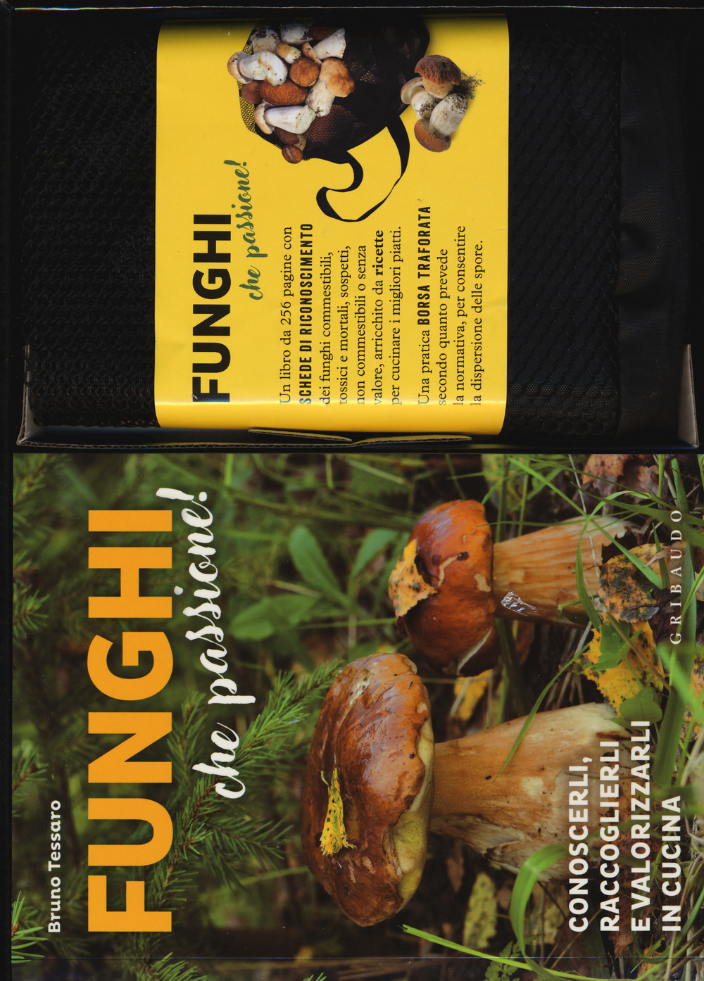 Funghi che passione! Conoscerli, raccoglierli e valorizzarli in cucina