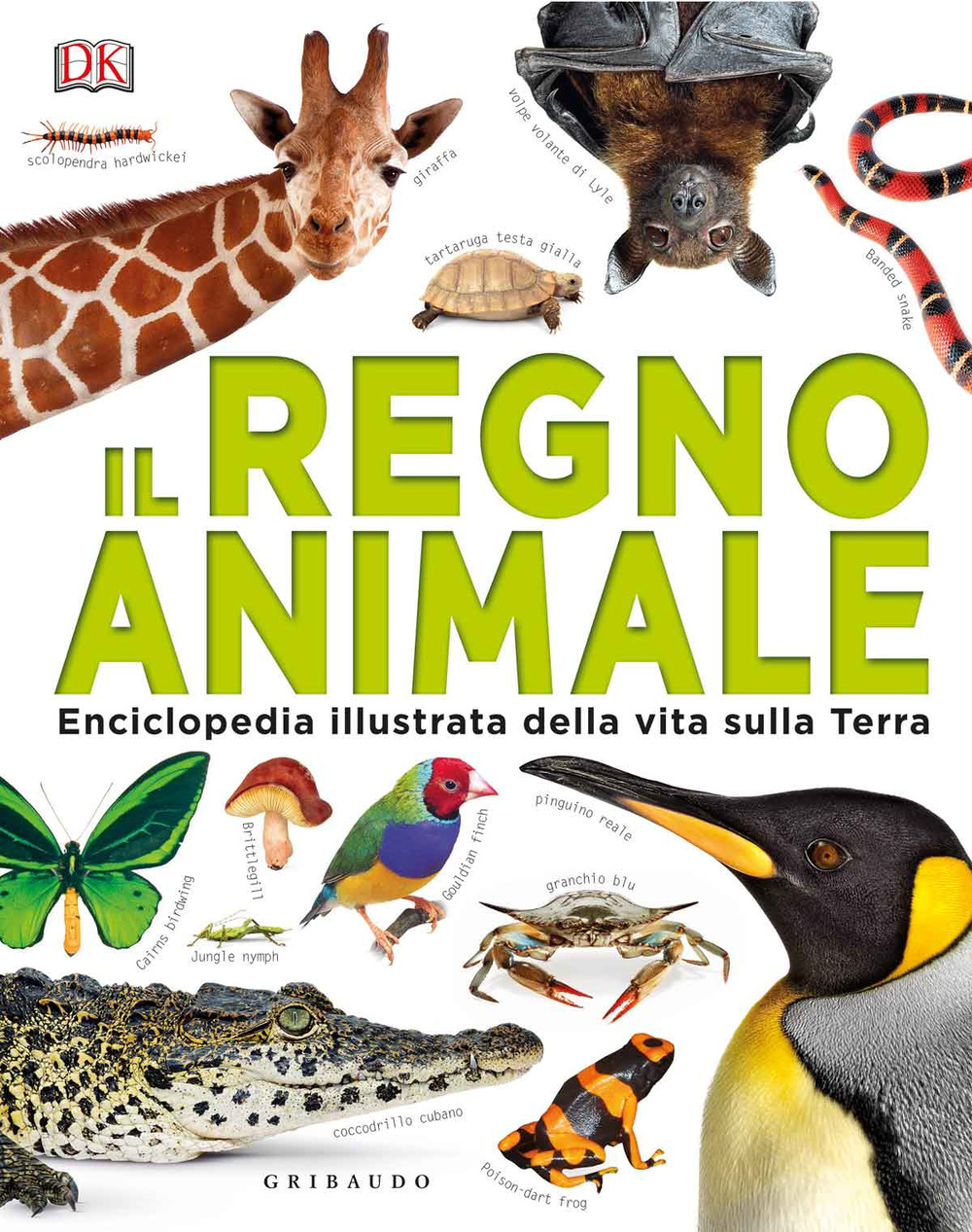 Il regno animale. Enciclopedia illustrata della vita sulla terra