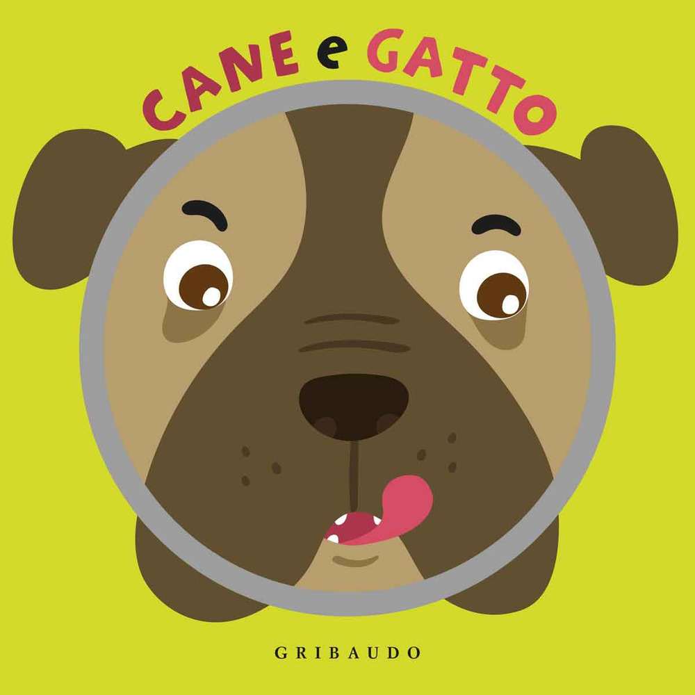 Cane e gatto