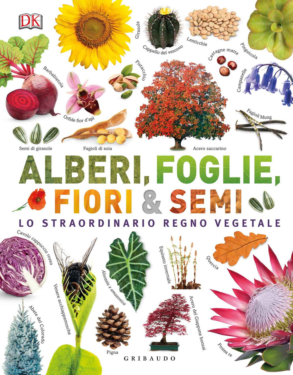 Alberi, foglie, fiori & semi. Lo straordinario regno vegetale