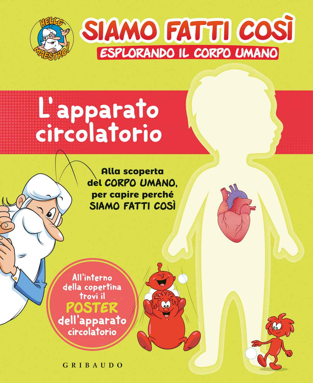 L'apparato circolatorio. Siamo fatti così. Esplorando il corpo umano
