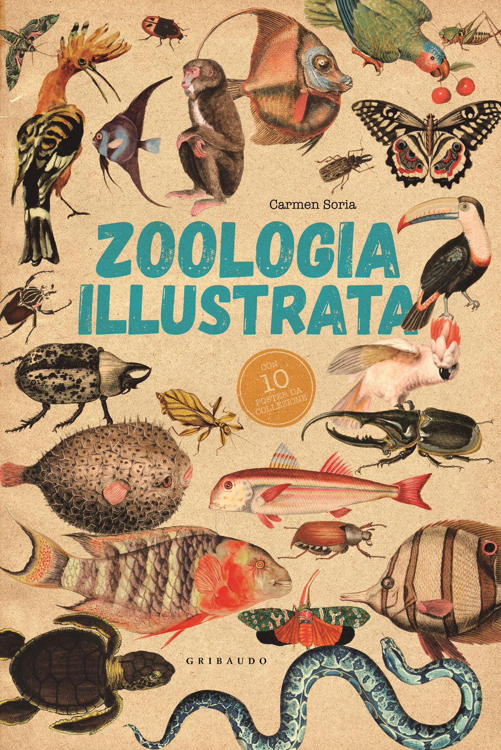 Zoologia illustrata