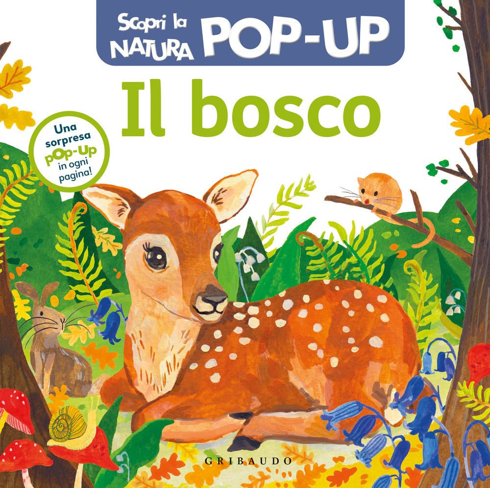 Il bosco. Scopri la natura pop up