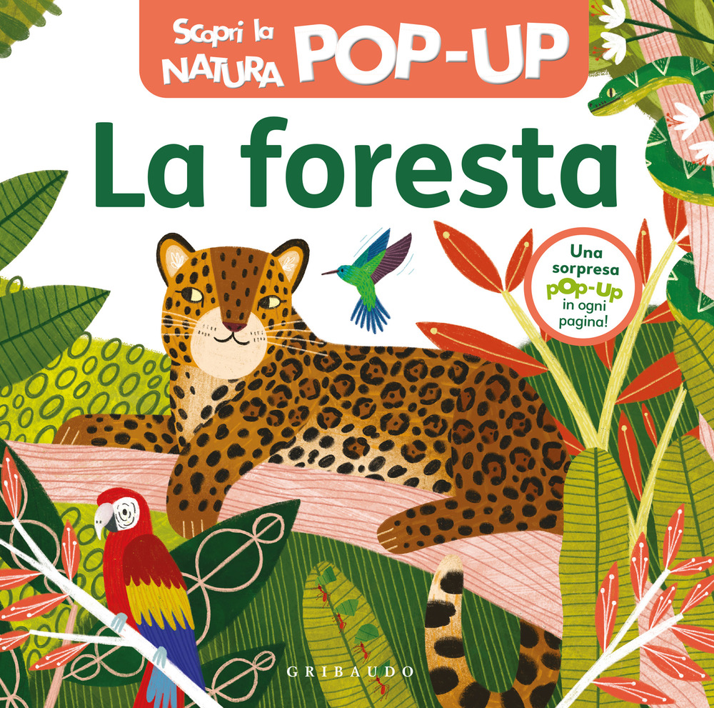 La foresta. Scopri la natura pop-up