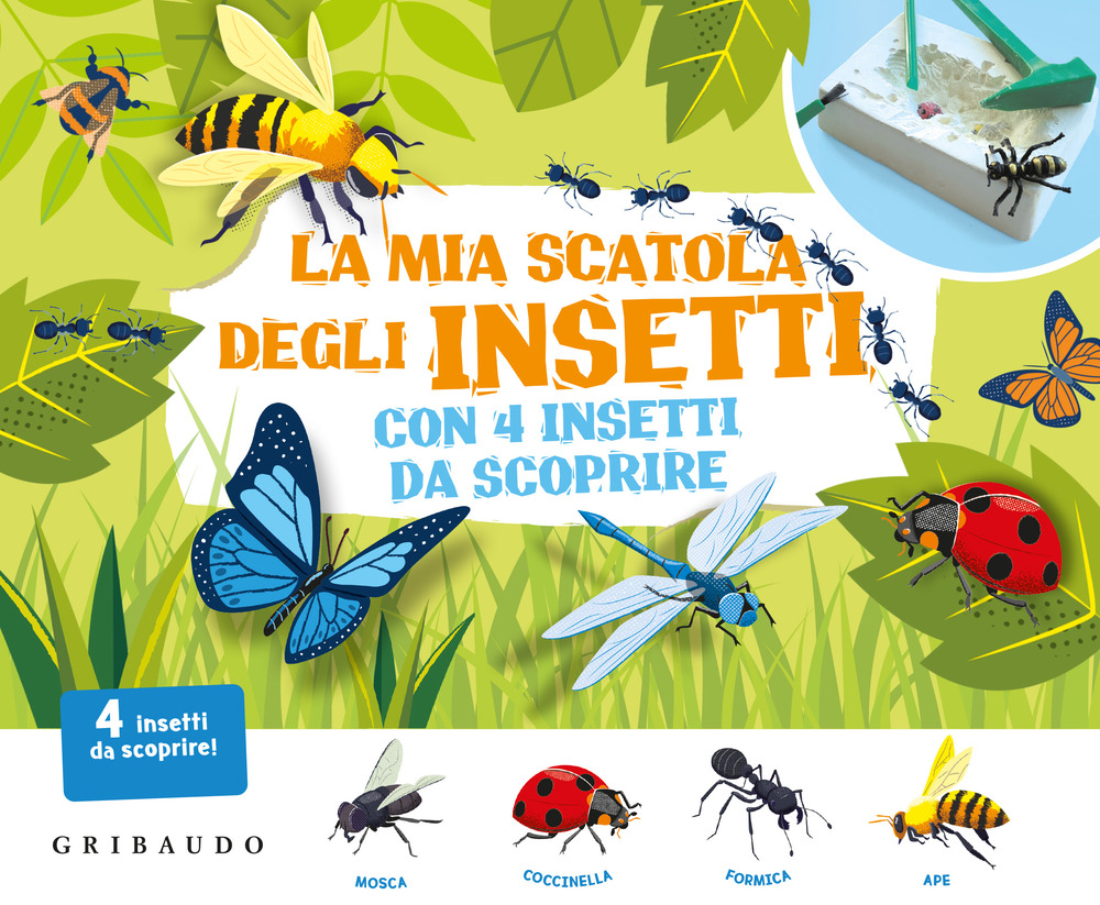 La mia scatola degli insetti con 4 insetti da scoprire