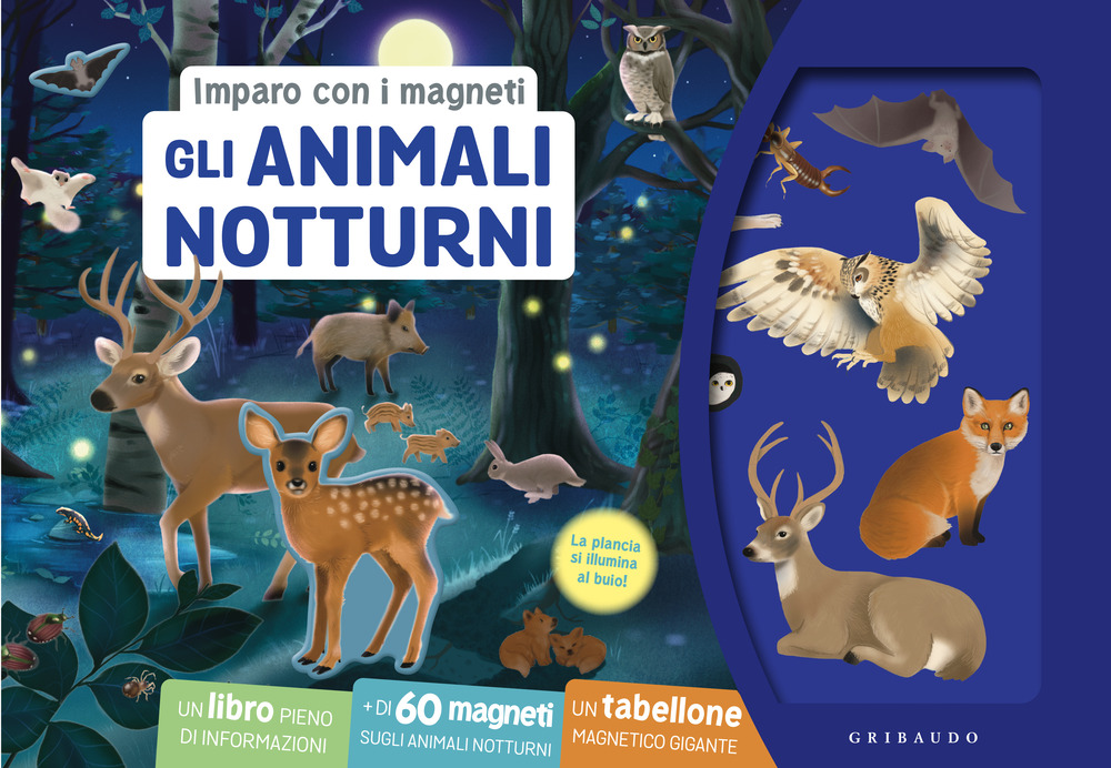 Gli animali notturni. Imparo con i magneti