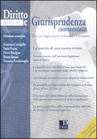 Diritto e giurisprudenza commentata. Vol. 1