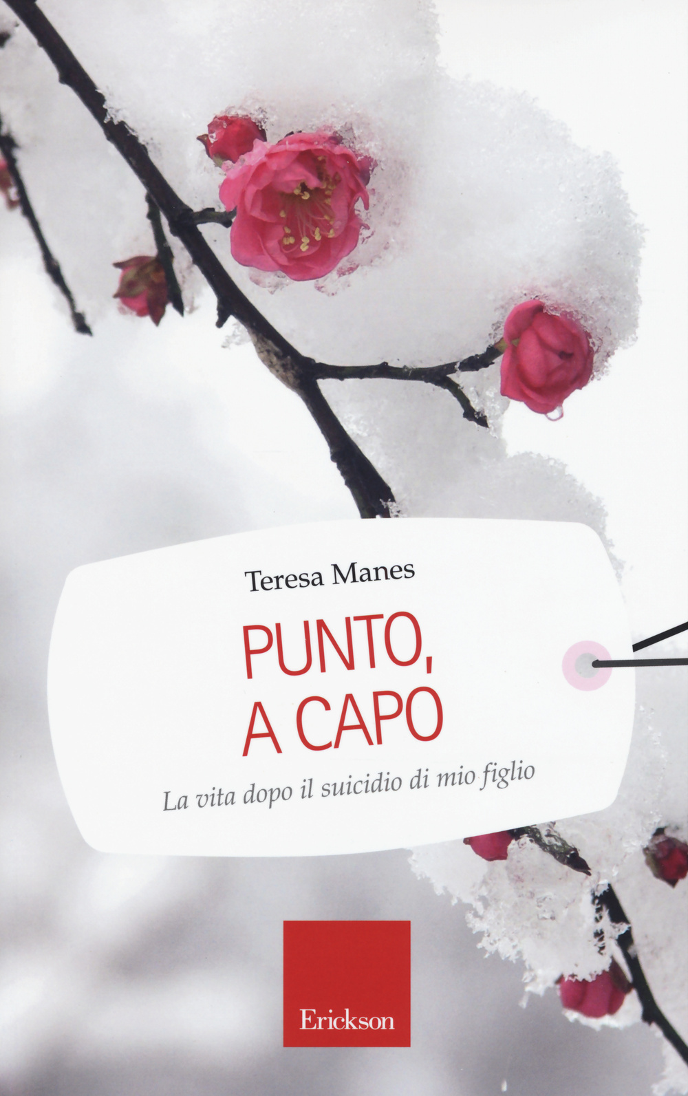 Punto, a capo. La vita dopo il suicidio di mio figlio