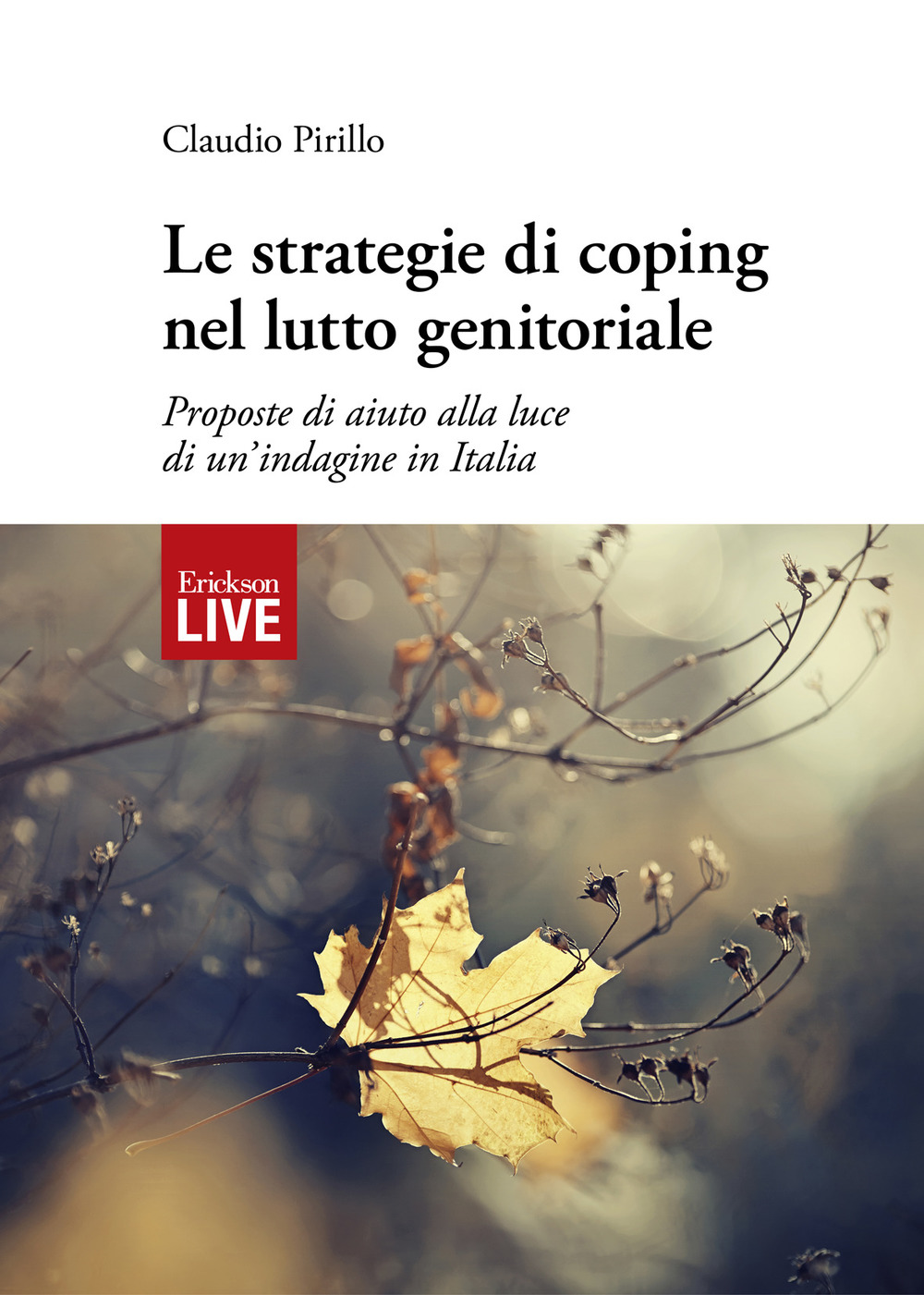 Le strategie di coping nel lutto genitoriale. Proposte di aiuto alla luce di un’indagine in Italia, Le