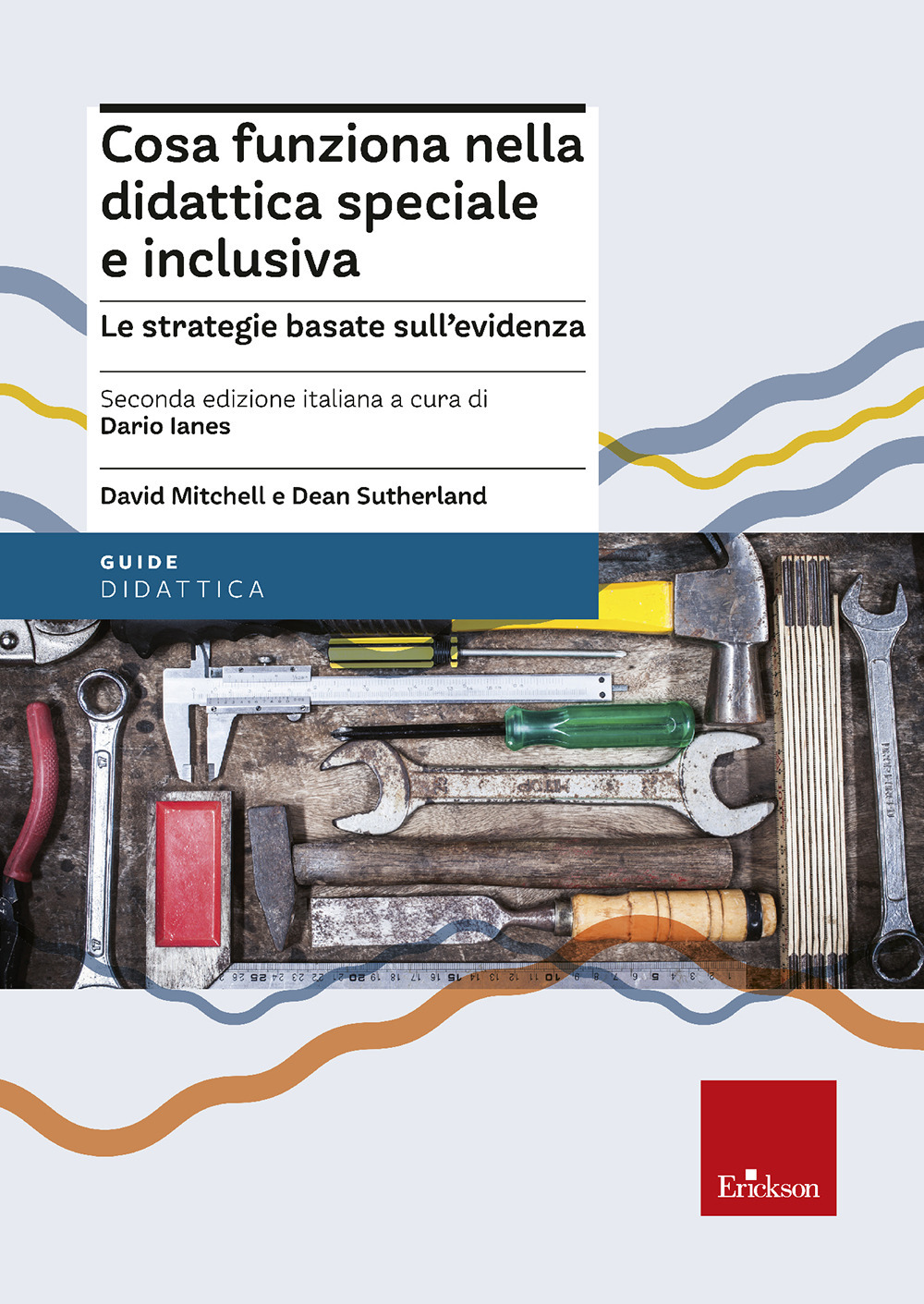 Cosa funziona nella didattica speciale e inclusiva. Le strategie basate sull’evidenza