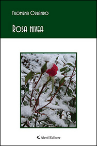 Rosa nivea