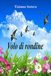 Volo di rondine