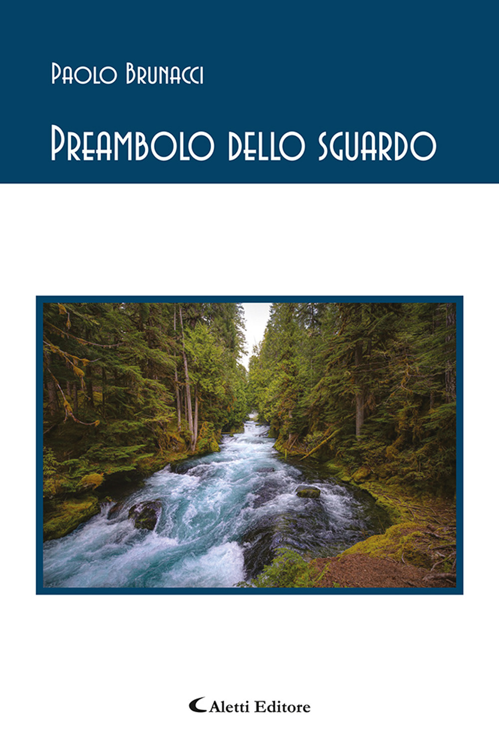 Preambolo dello sguardo