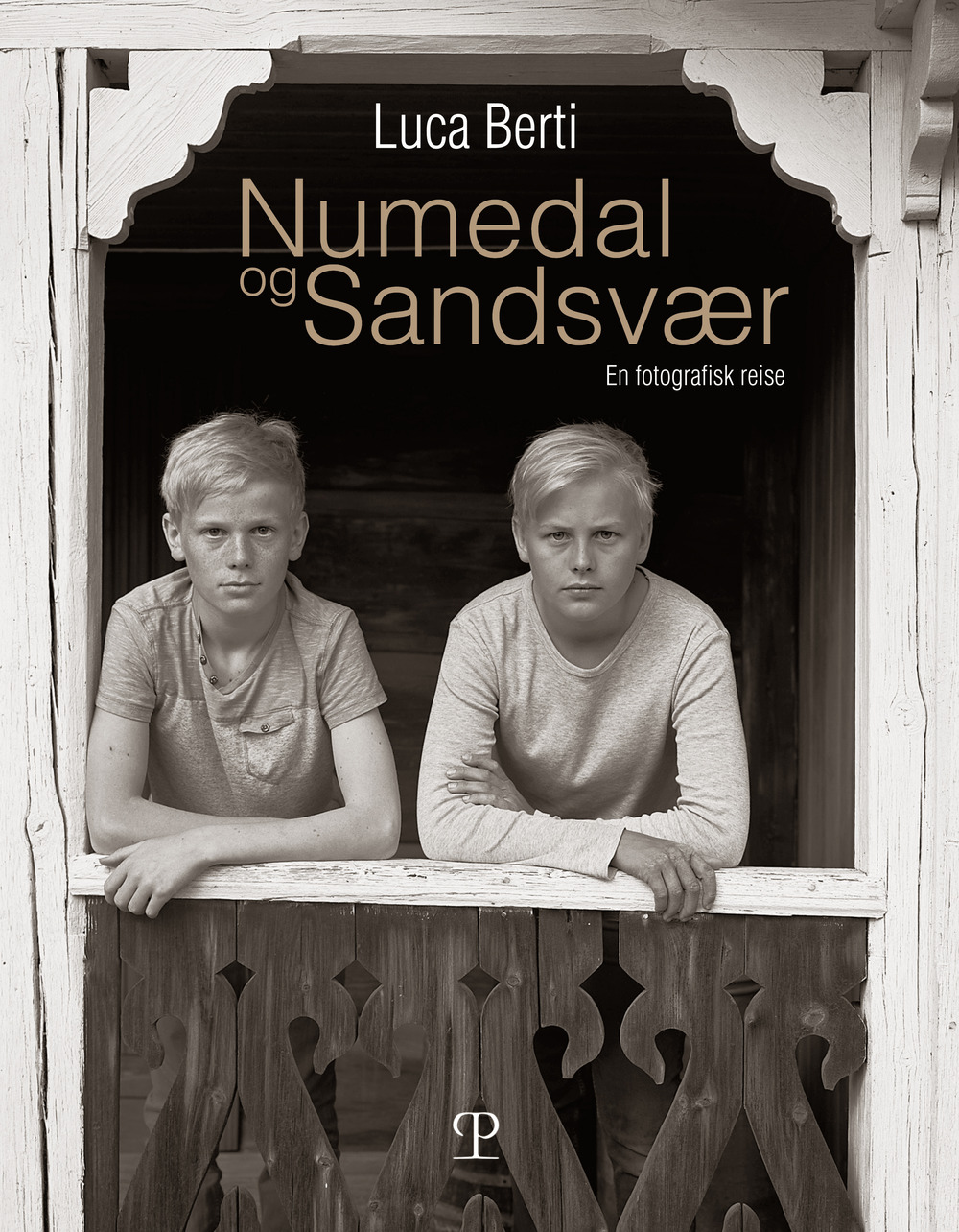 Numedal og Sandsvær. En fotografisk reise